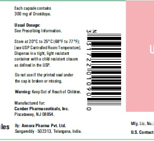 Droxidopa 300 mg Capsules - 90/ btl